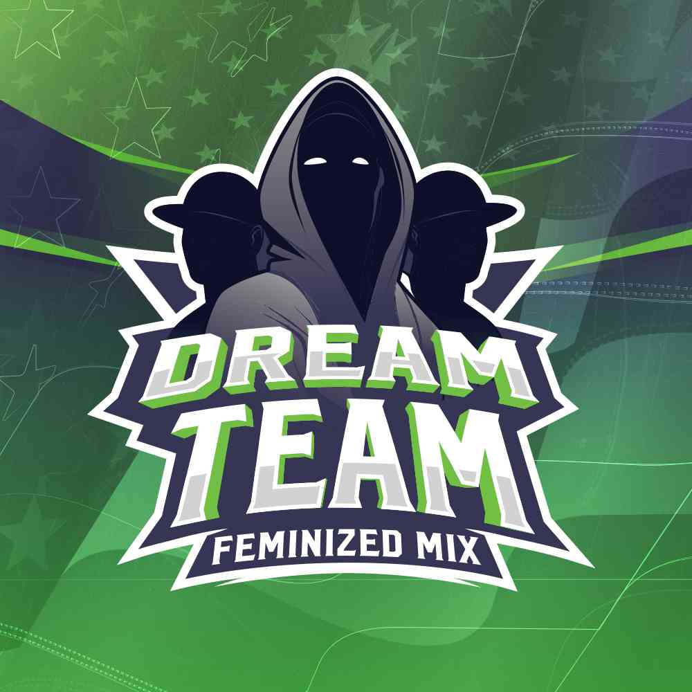 DREAM TEAM FEMINIZED MIX (x12)