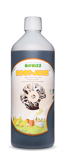 Root Juice 250 ml