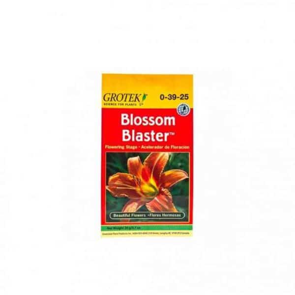 Blossom Blaster 20gr