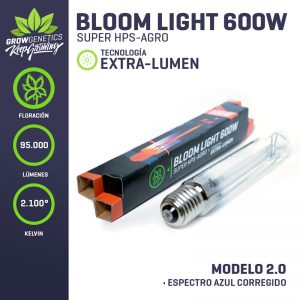 bloomlight-600w-300x300