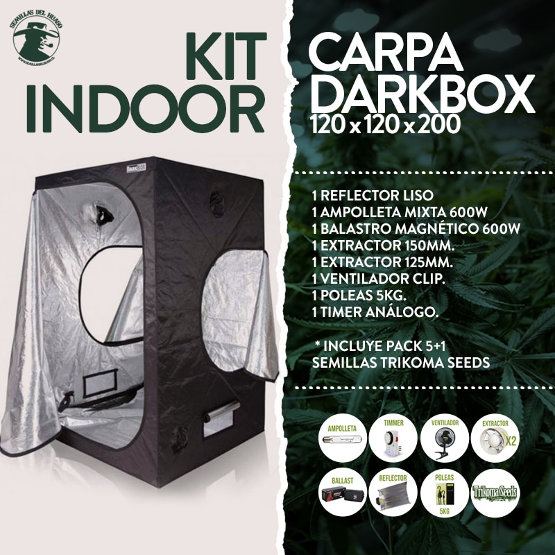kit carpa 120x120x200 DarkBox