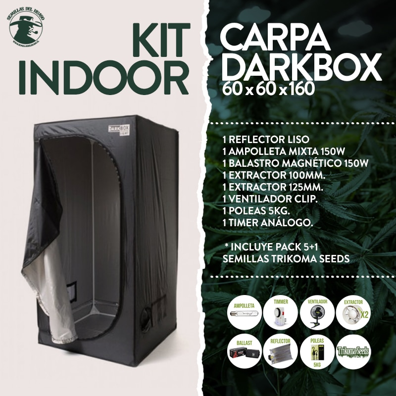 kit carpa 60x60x160 DarkBox