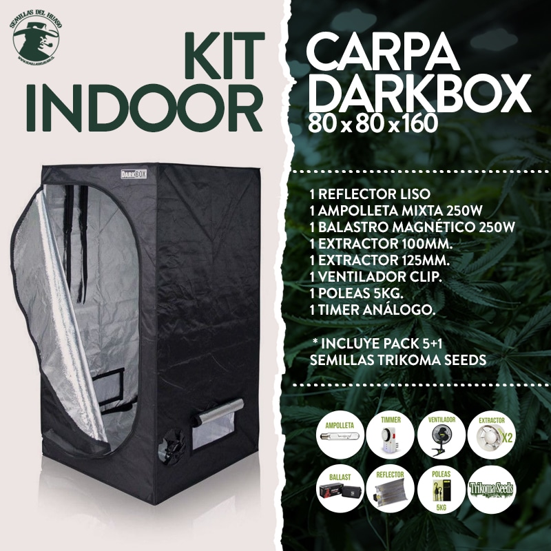 Kit carpa 80x80x160 DarkBox