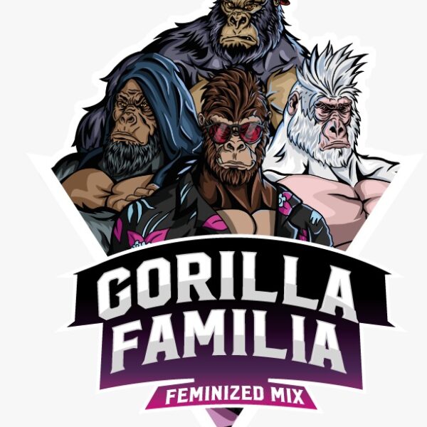 Gorilla Familia (x12)