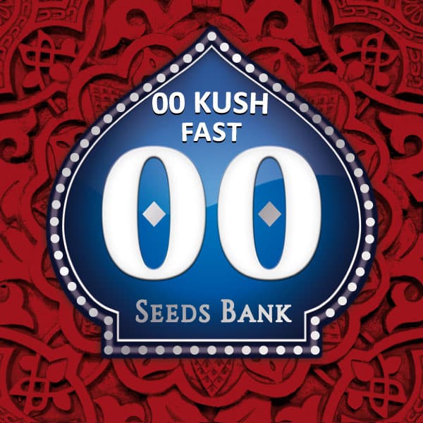 00 Kush Fast (x3) 00 Seeds