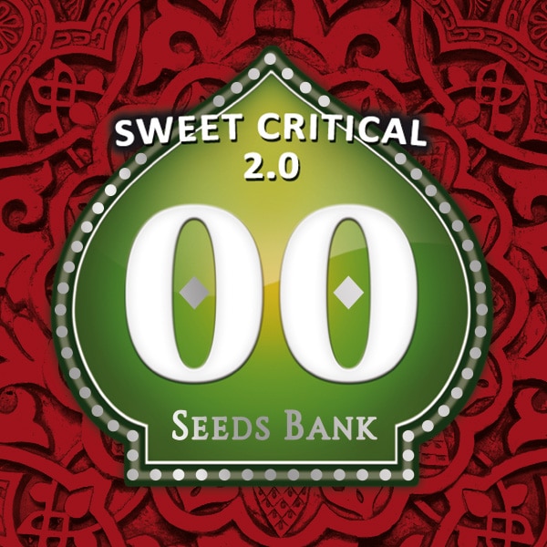 Sweet Critical 2.0 (x3)
