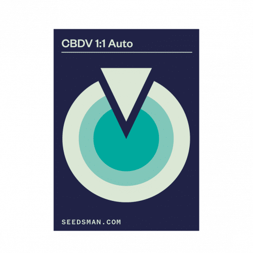 CBDV 1:1 Auto