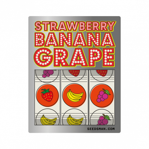 Strawberry Banana Grape (x3)