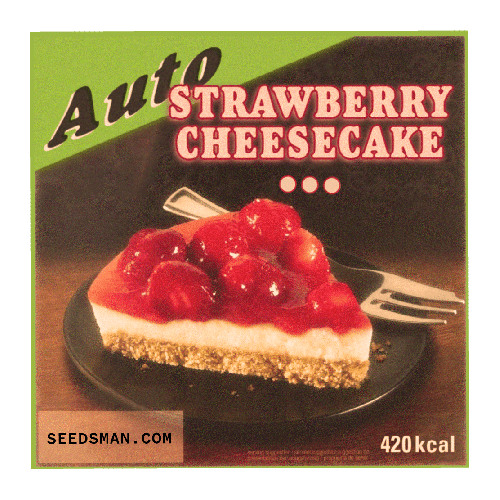 Strawberry Cheesecake auto (x3)