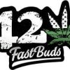 FastBuds