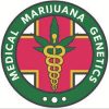Medical Marijuana Genetics