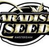 Paradise Seeds CBD